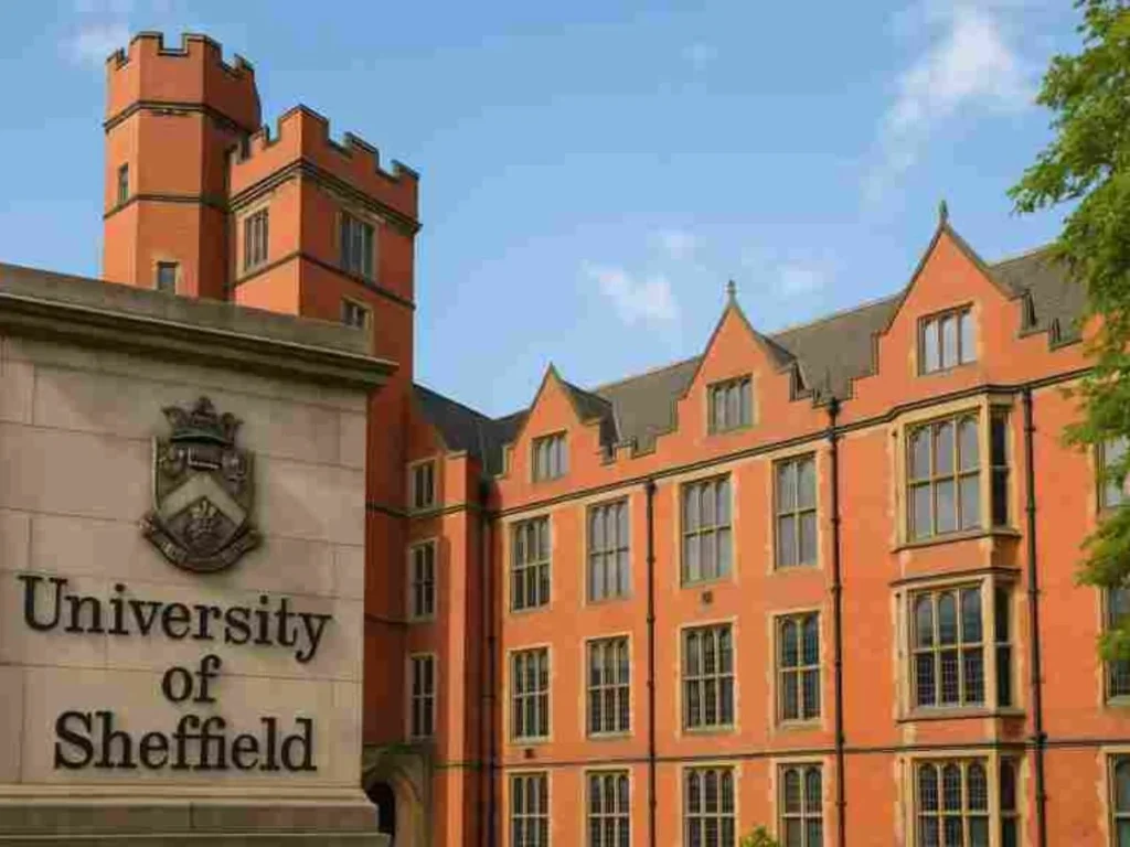 University of Sheffield